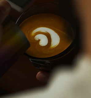 Pour-Over Brewing Guide -